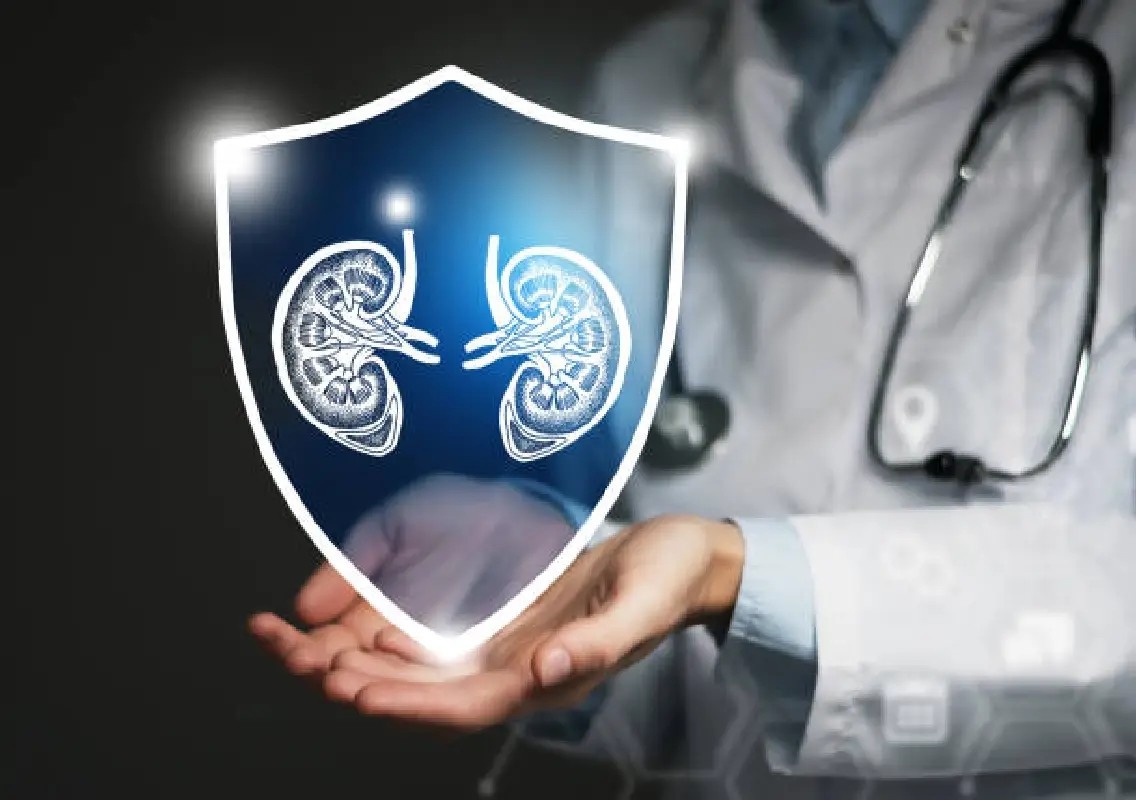 Centre orders greater transparency in kidney transplants - News Karnataka