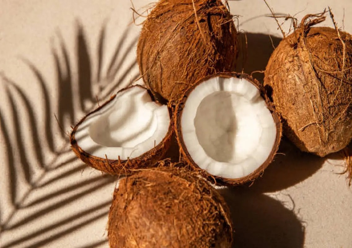 Coconut prices fall as export demand weakens amid West Asia tensions - News Karnataka