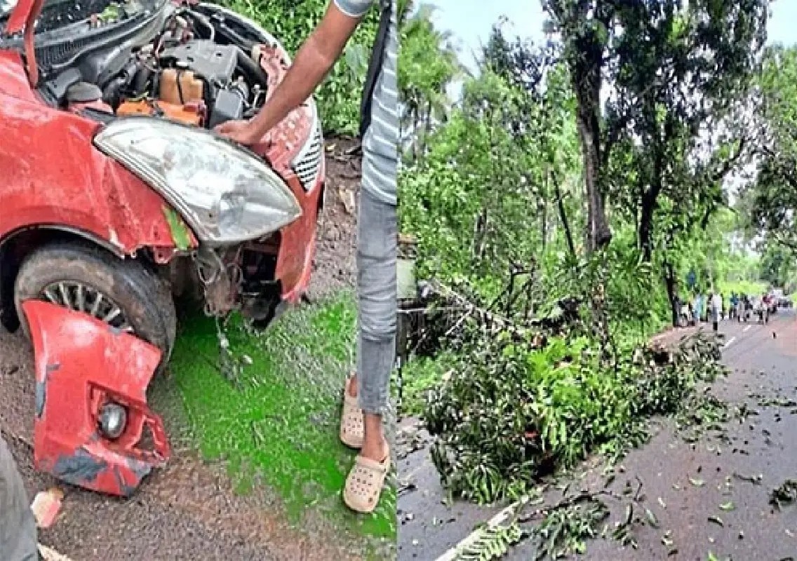 Couple escapes unhurt after tree and electric pole crash onto car in Vittal - News Karnataka