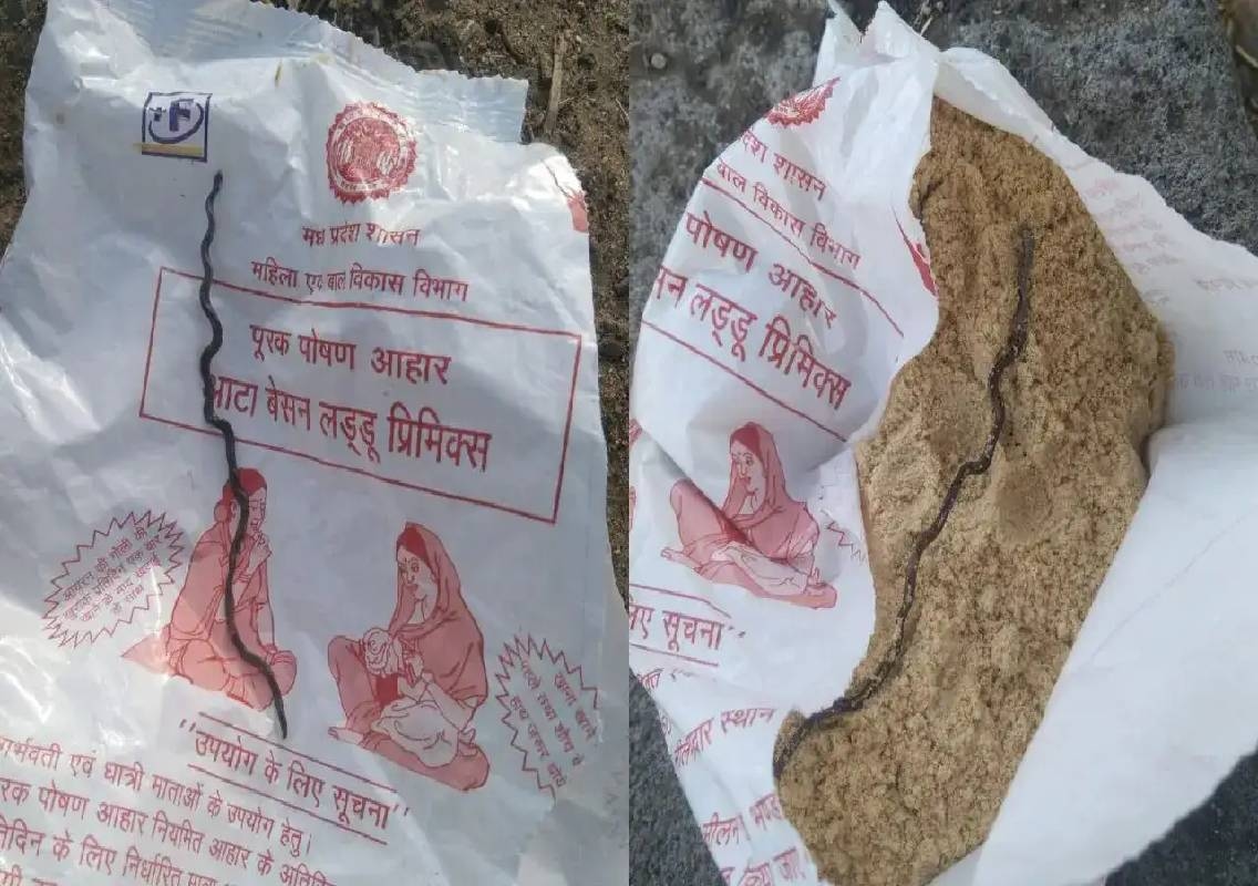 Dead Snake Found In Anganwadi Food Packet In MP - News Karnataka