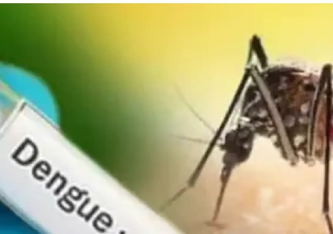 Dengue cases drop sharply in Bengaluru, but health officials stay alert - News Karnataka