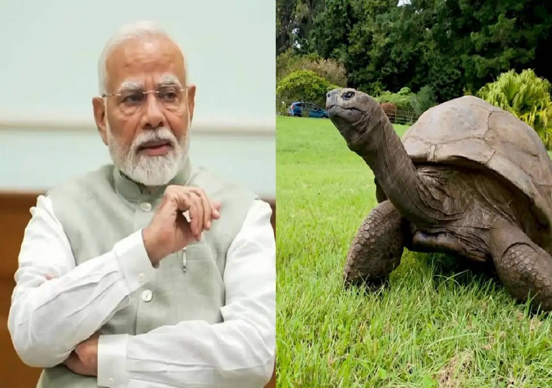 PM Modi to meet world's oldest tortoise in Seychelles - News Karnataka