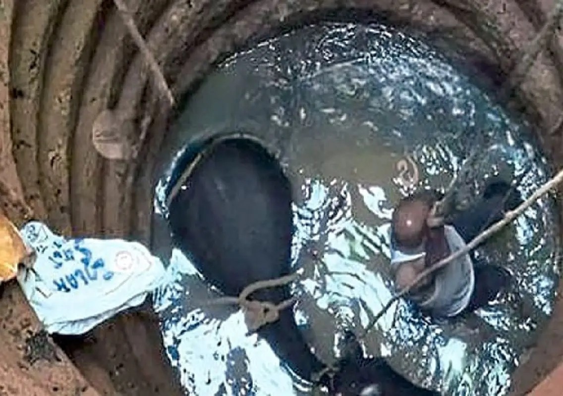 Eight-month pregnant cow rescued after falling into open well - News Karnataka