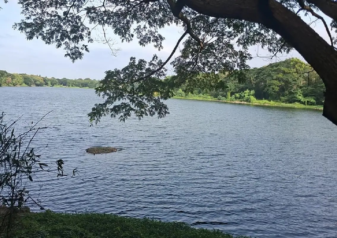 Experts seek revival of Mysuru's historic Purnaiah canal - News Karnataka