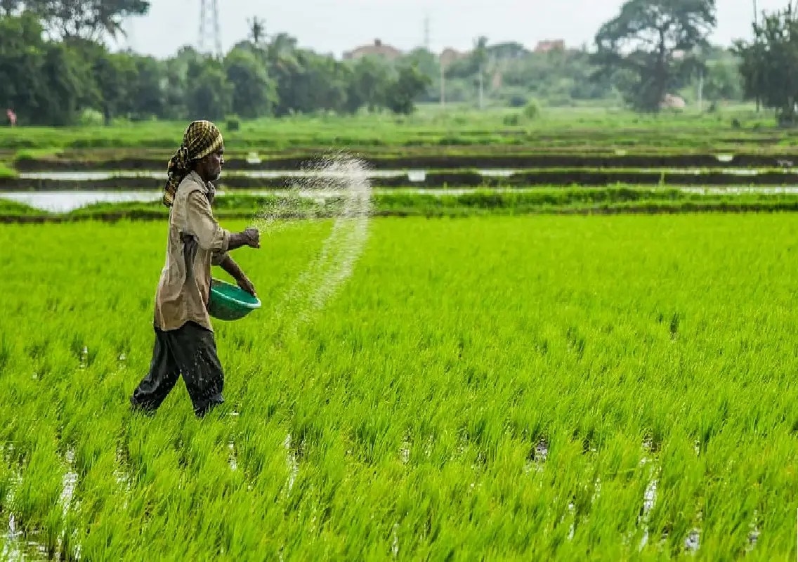 Fertiliser price rise worries Mysuru farmers ahead of kharif season - News Karnataka