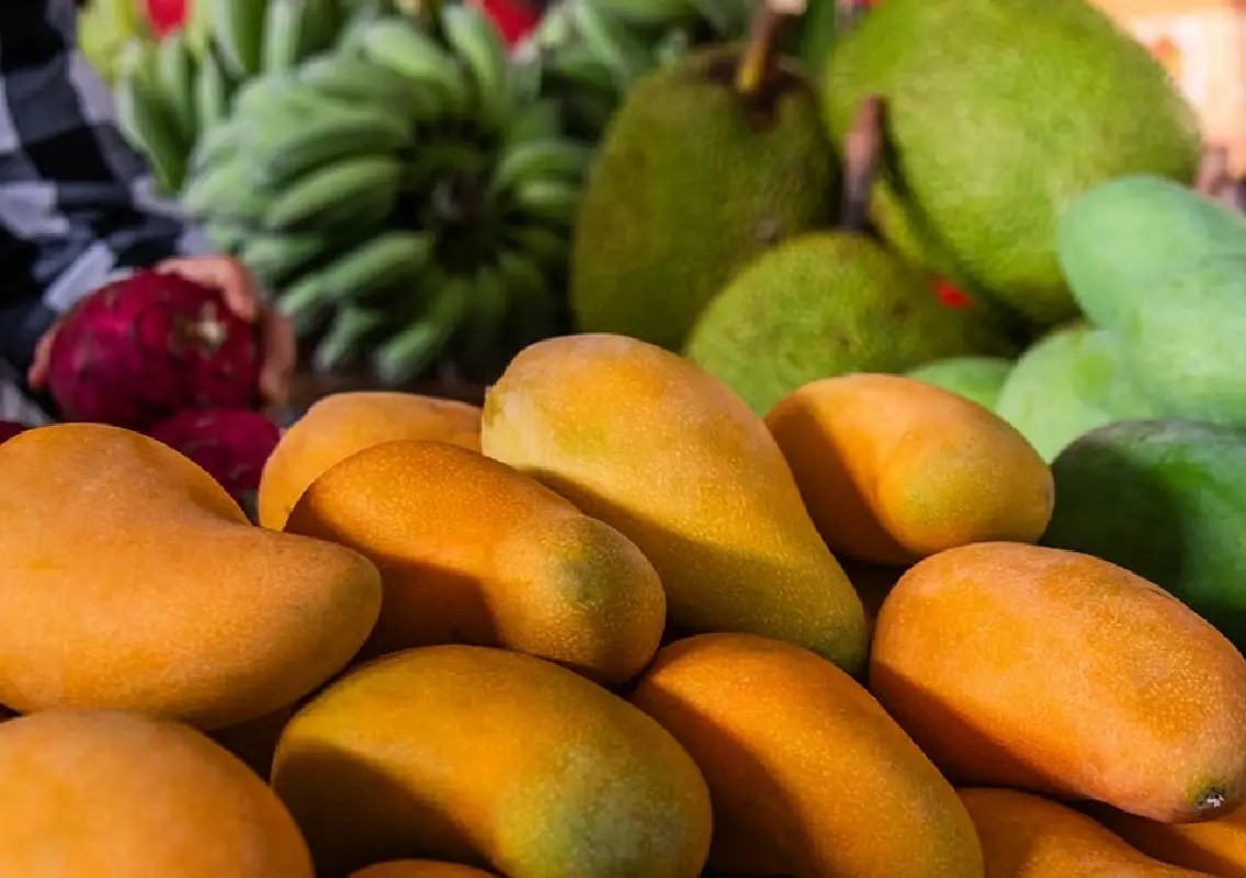 Foreign visitors pick their favourite mangoes at Lalbagh mela - News Karnataka