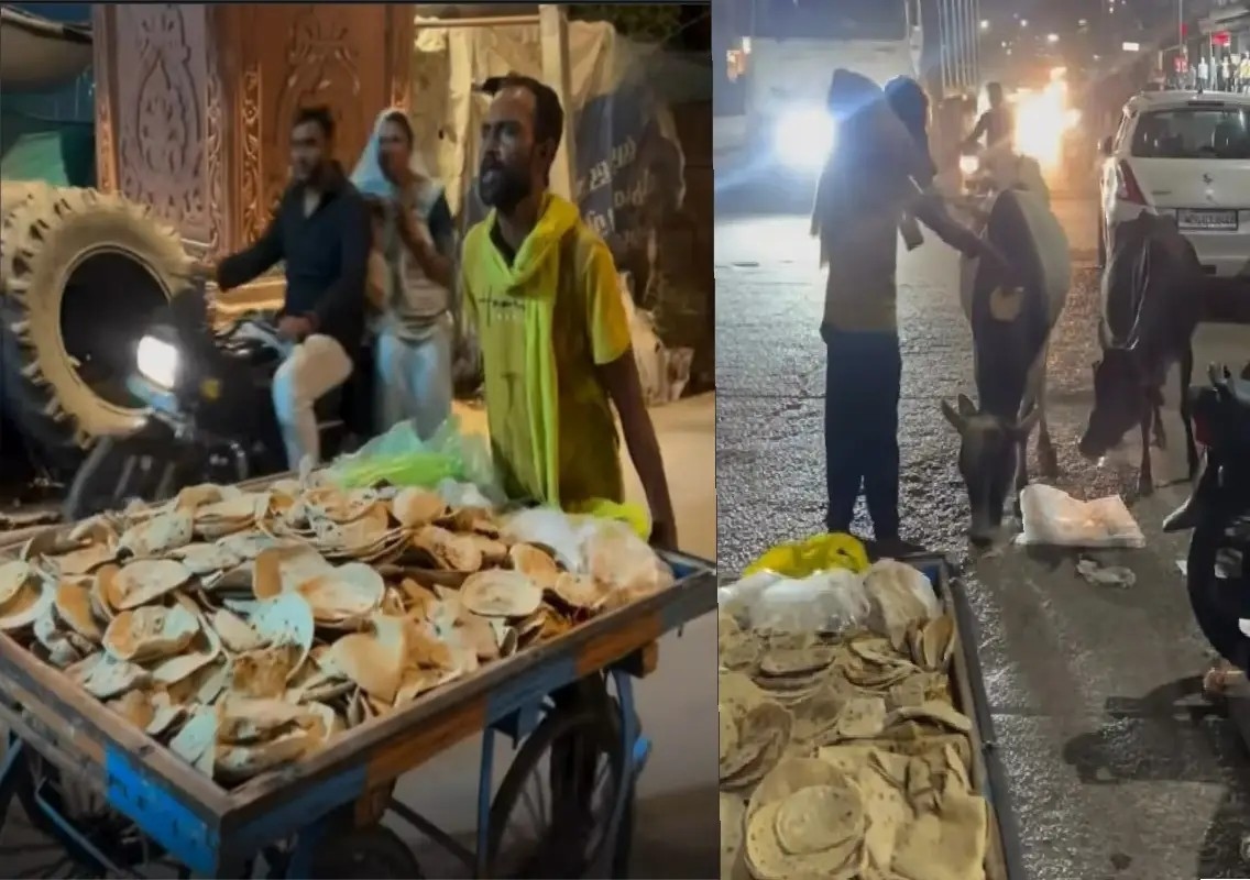 Gautam's daily mission ensures no cow goes hungry: WATCH - News Karnataka