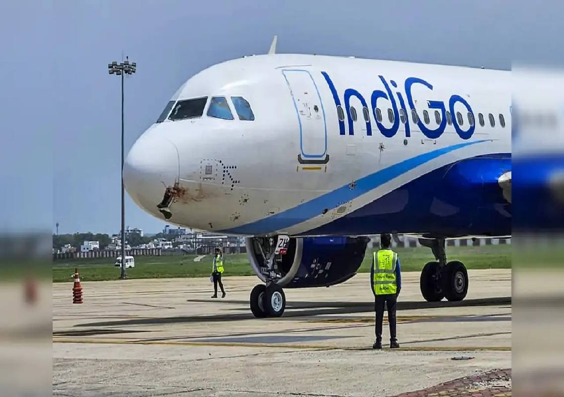 IndiGo flight aborts takeoff after bird strike - News Karnataka