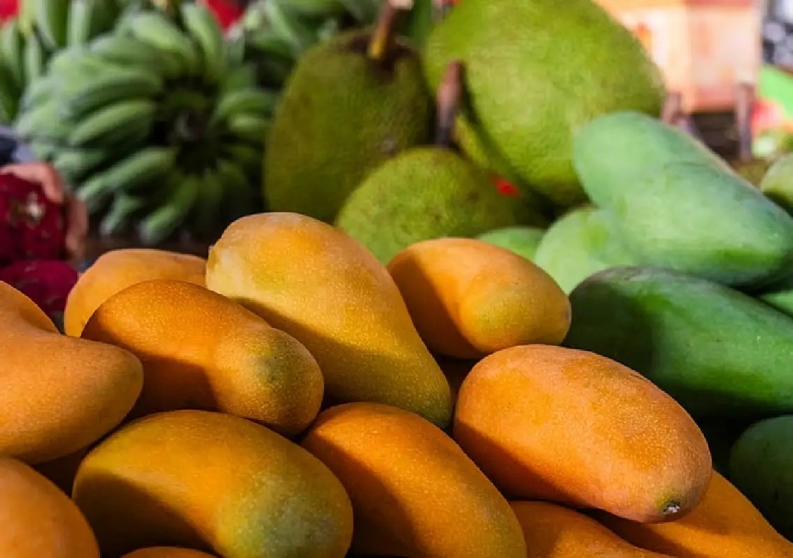 Lalbagh’s mango and jackfruit mela returns from June 4 - News Karnataka