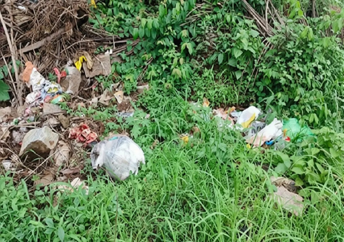 Littering continues to mar Udupi’s clean image on Environment Day - News Karnataka