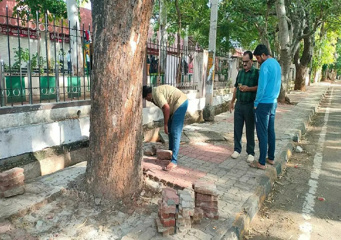 MCC launches drive to free trees from concrete on Environment Day - News Karnataka