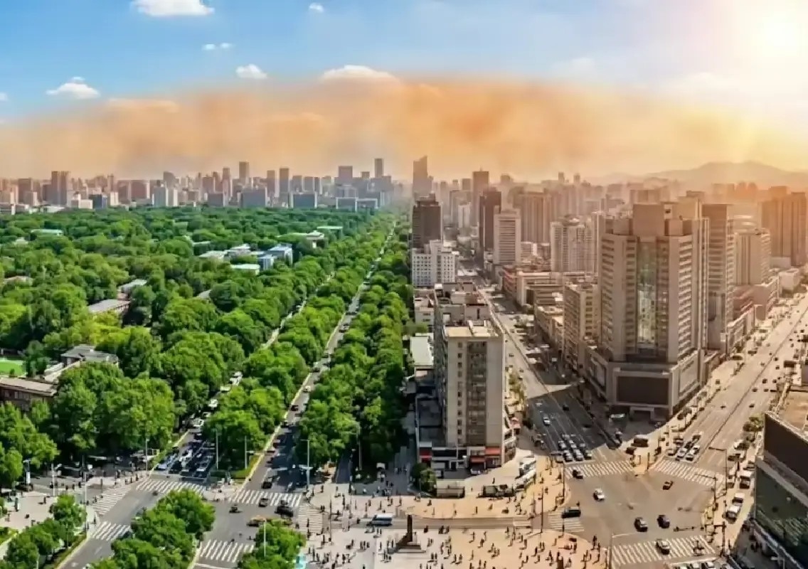 More trees alone won't cool cities, study finds - News Karnataka
