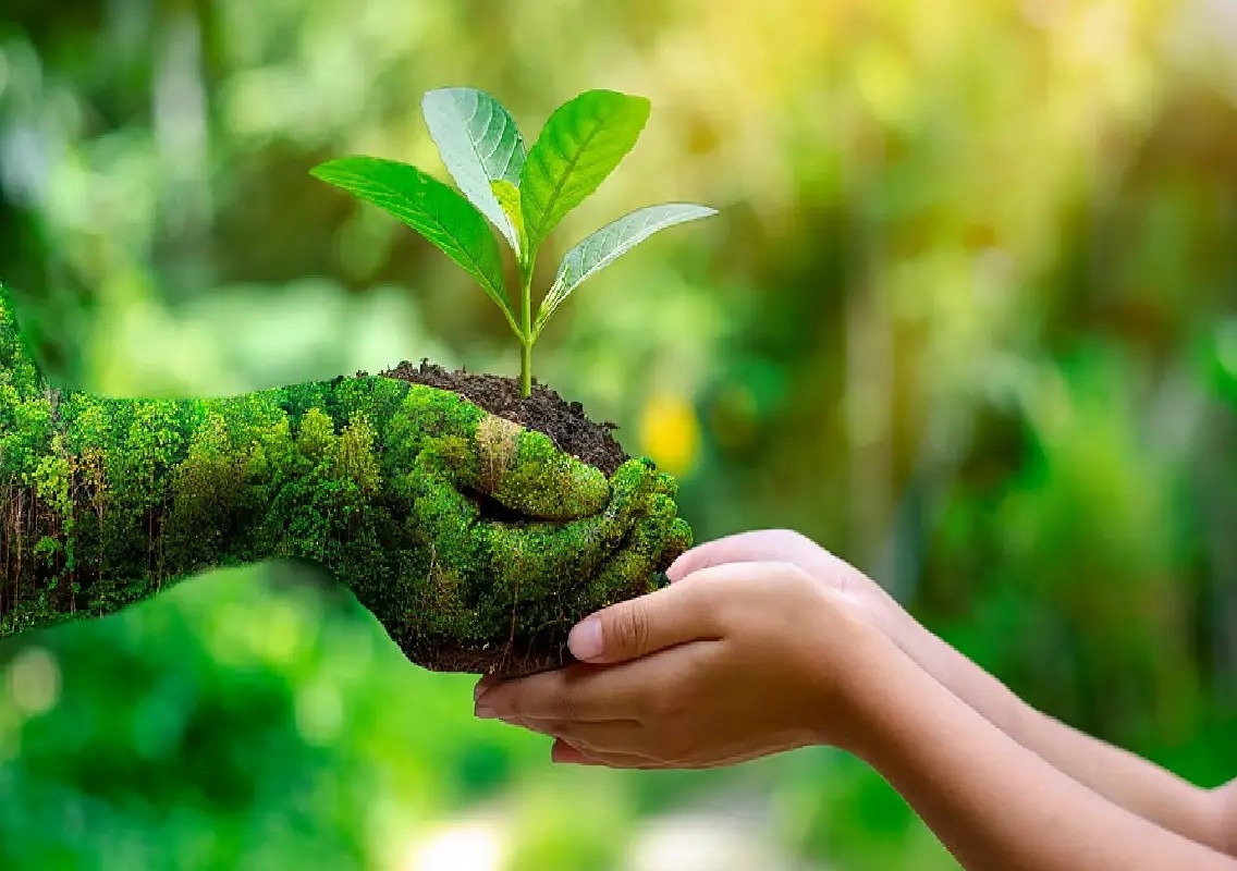 MyGreen 26 exhibition to showcase eco-friendly innovations in Mysuru - News Karnataka