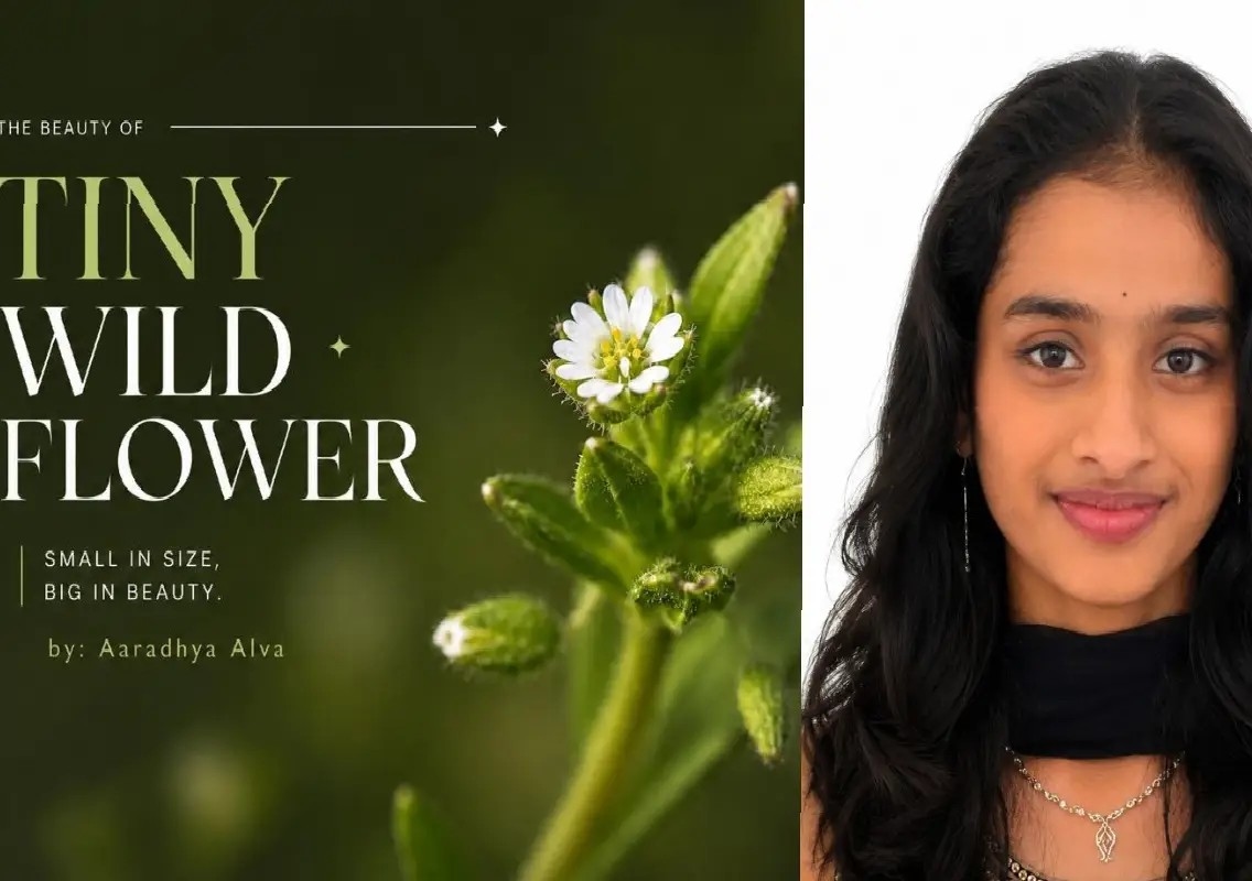 Puttur student turns summer break into a book on wildflowers - News Karnataka