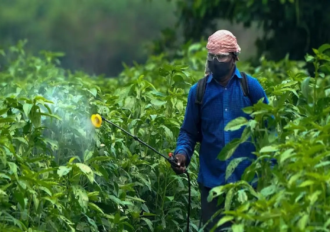 Questions raised over glyphosate limits in imported pulses and soybeans - News Karnataka