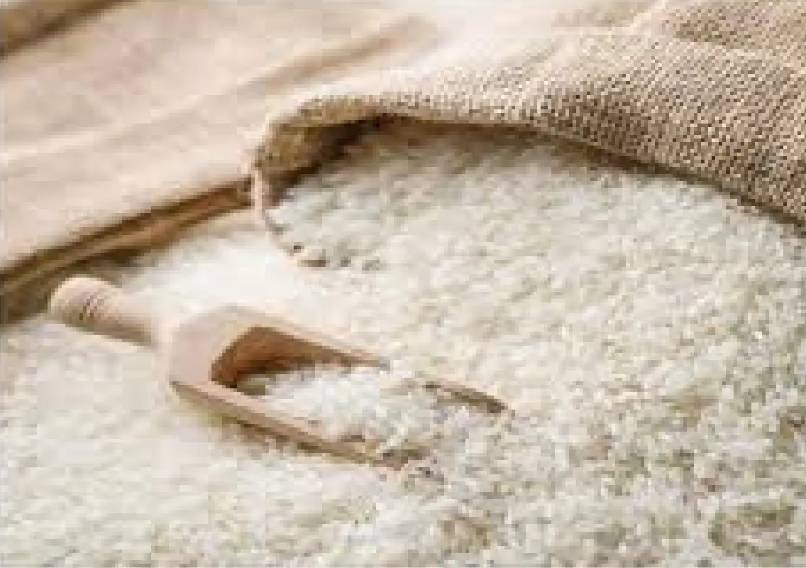Rising rice prices add to household burden as costs climb - News Karnataka