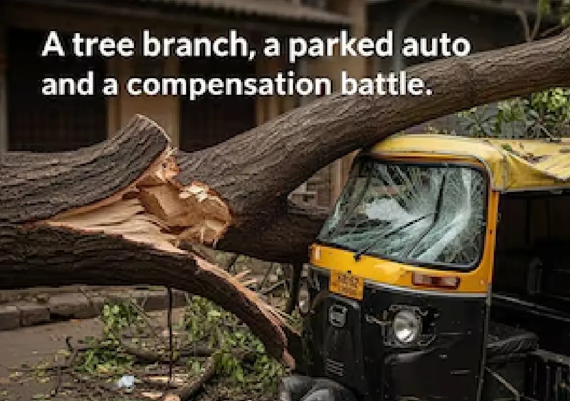 SC grants Rs 25 lakh to man paralysed by falling tree branch - News Karnataka