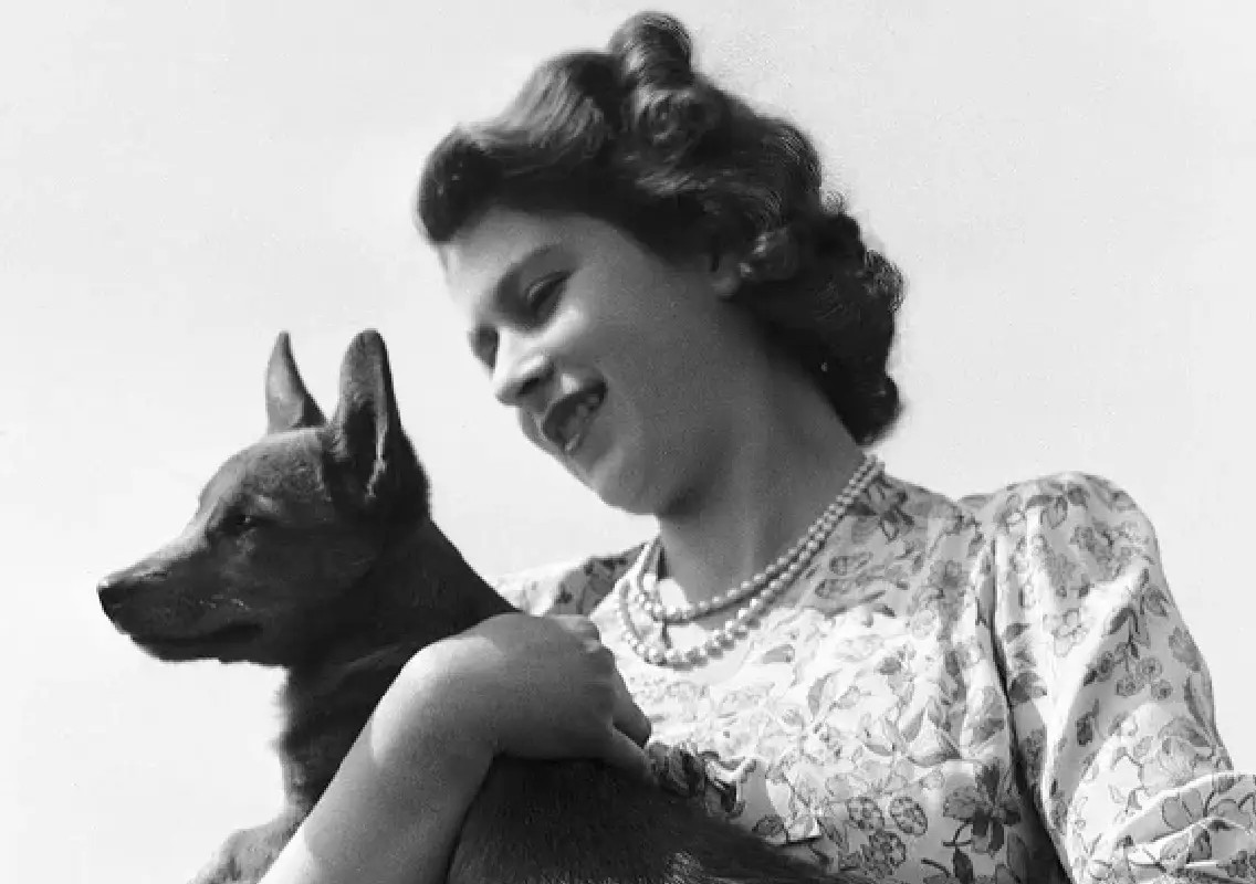 The corgi that secretly joined Queen Elizabeth’s honeymoon - News Karnataka