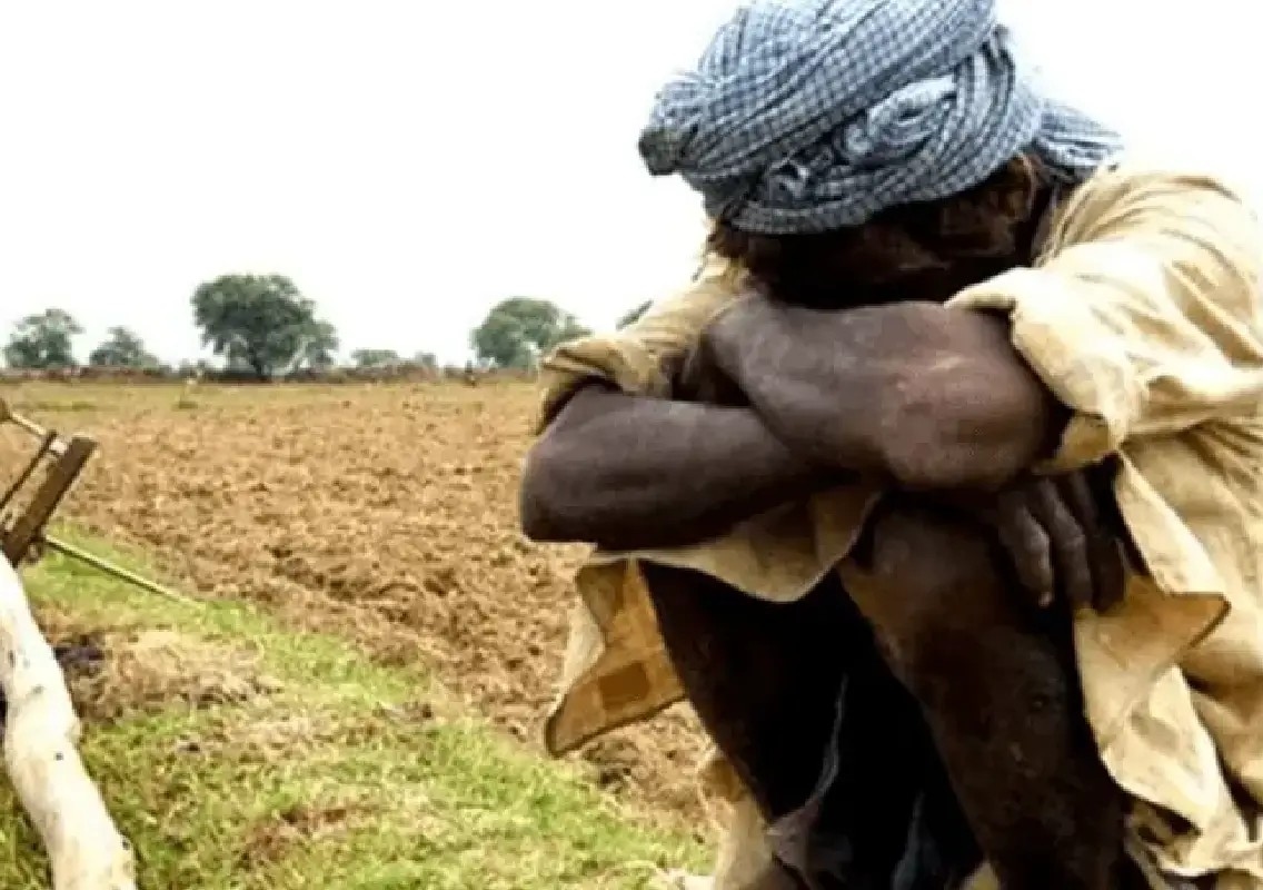 When farmers fear the forest more than drought - News Karnataka