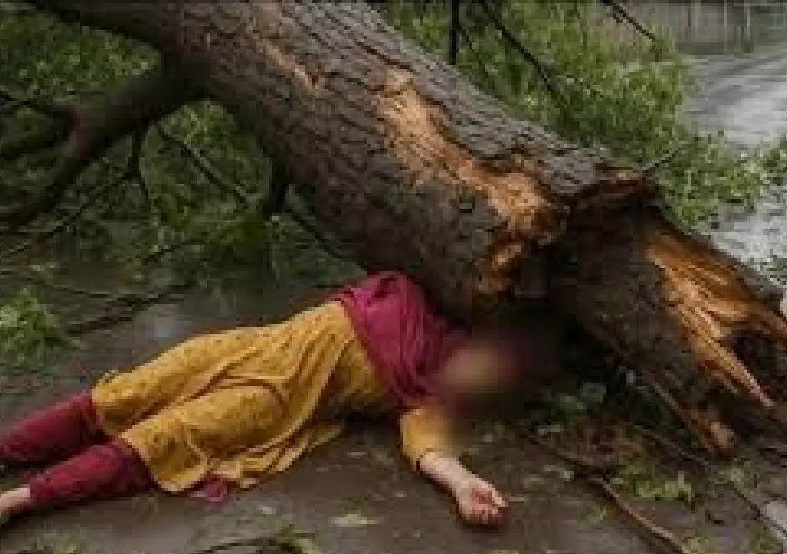 Woman dies after fall while trying to cut tree branches herself - News Karnataka