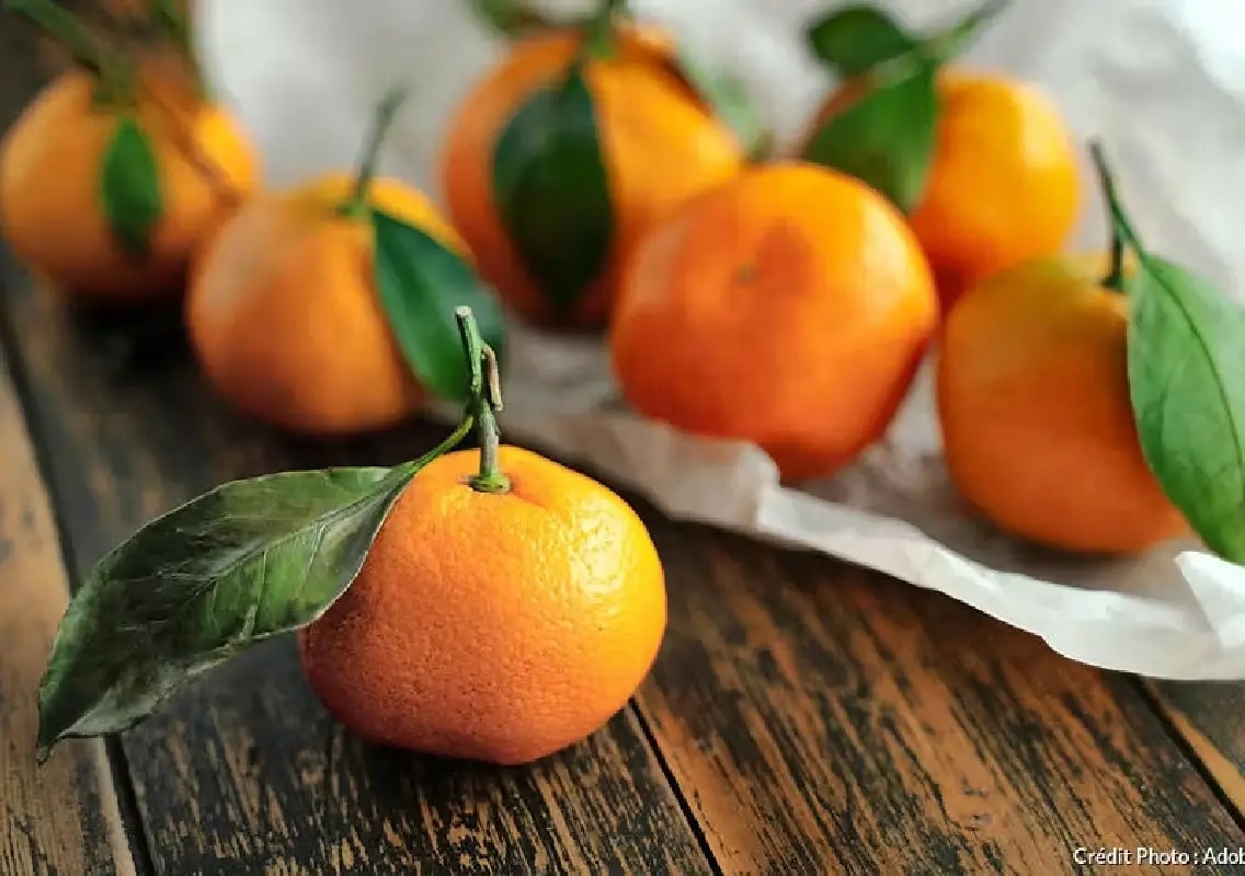 Worker threw oranges at van from office window to beat boredom - News Karnataka