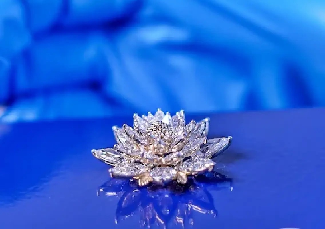 Bengaluru-designed diamond reaches space in historic Skyroot mission - News Karnataka