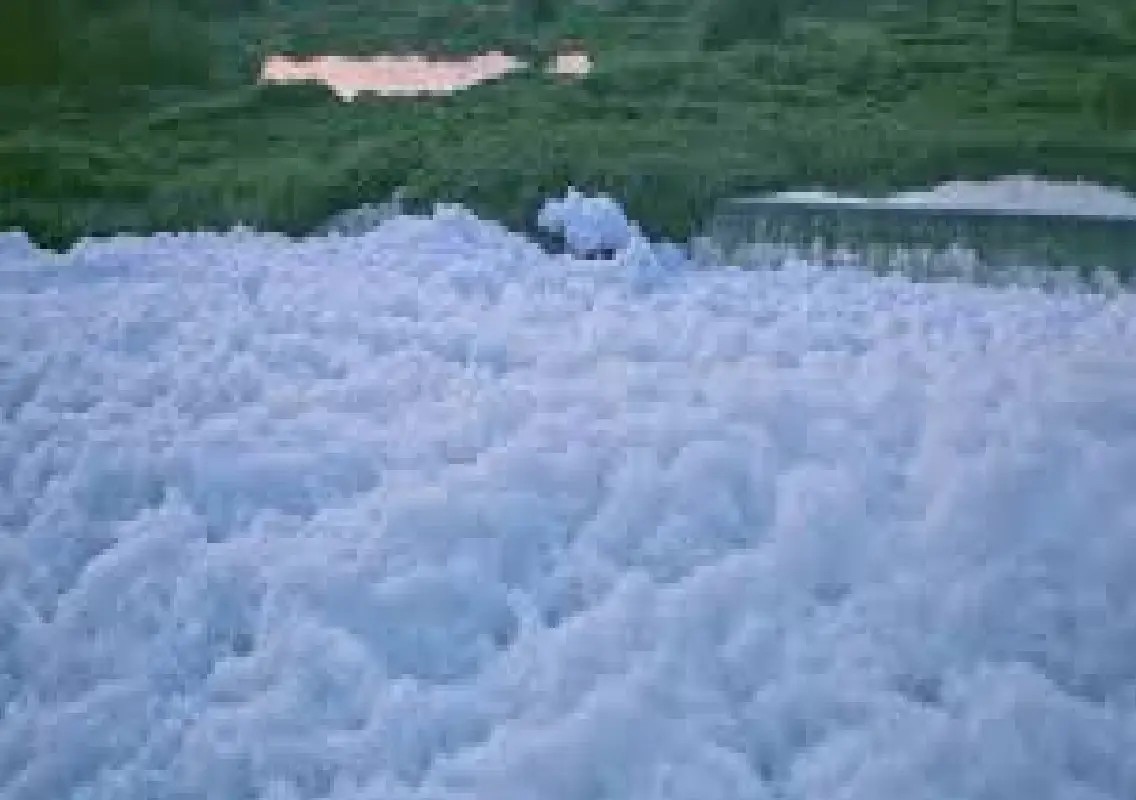 Bengaluru lakes remain polluted despite crores spent on STPs - News Karnataka