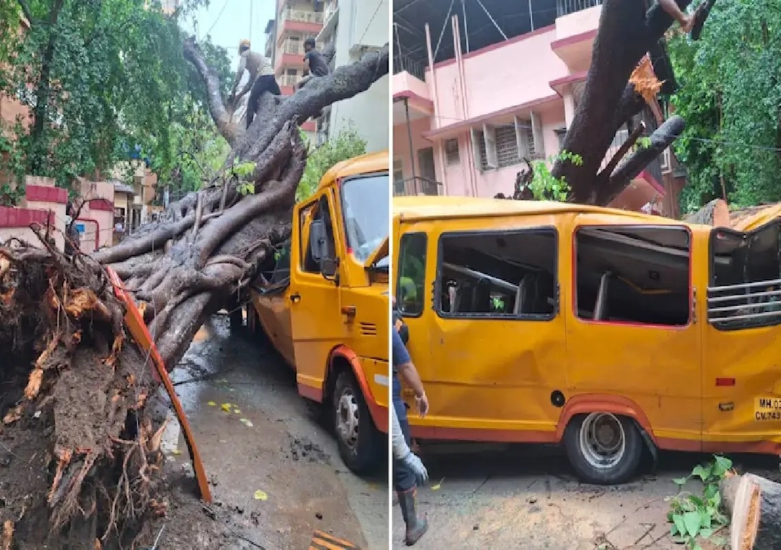 Boy killed as tree falls on school bus in Mumbai: WATCH - News Karnataka