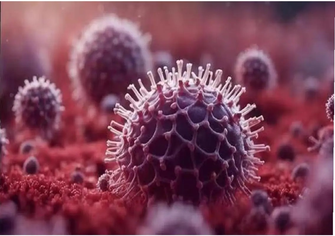 Chandipura virus claims third child in Gujarat amid rising cases - News Karnataka