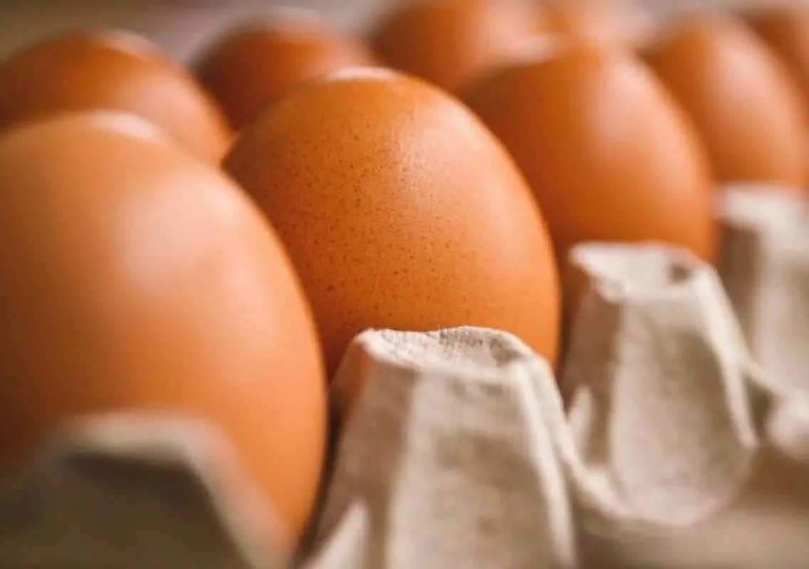 Egg prices soar as supply drops across Bengaluru - News Karnataka