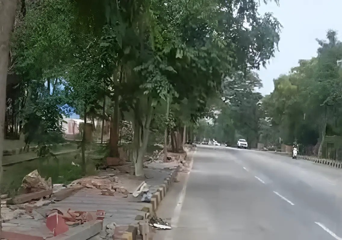 Environmentalists to chart response to tree felling at Mysuru junction - News Karnataka