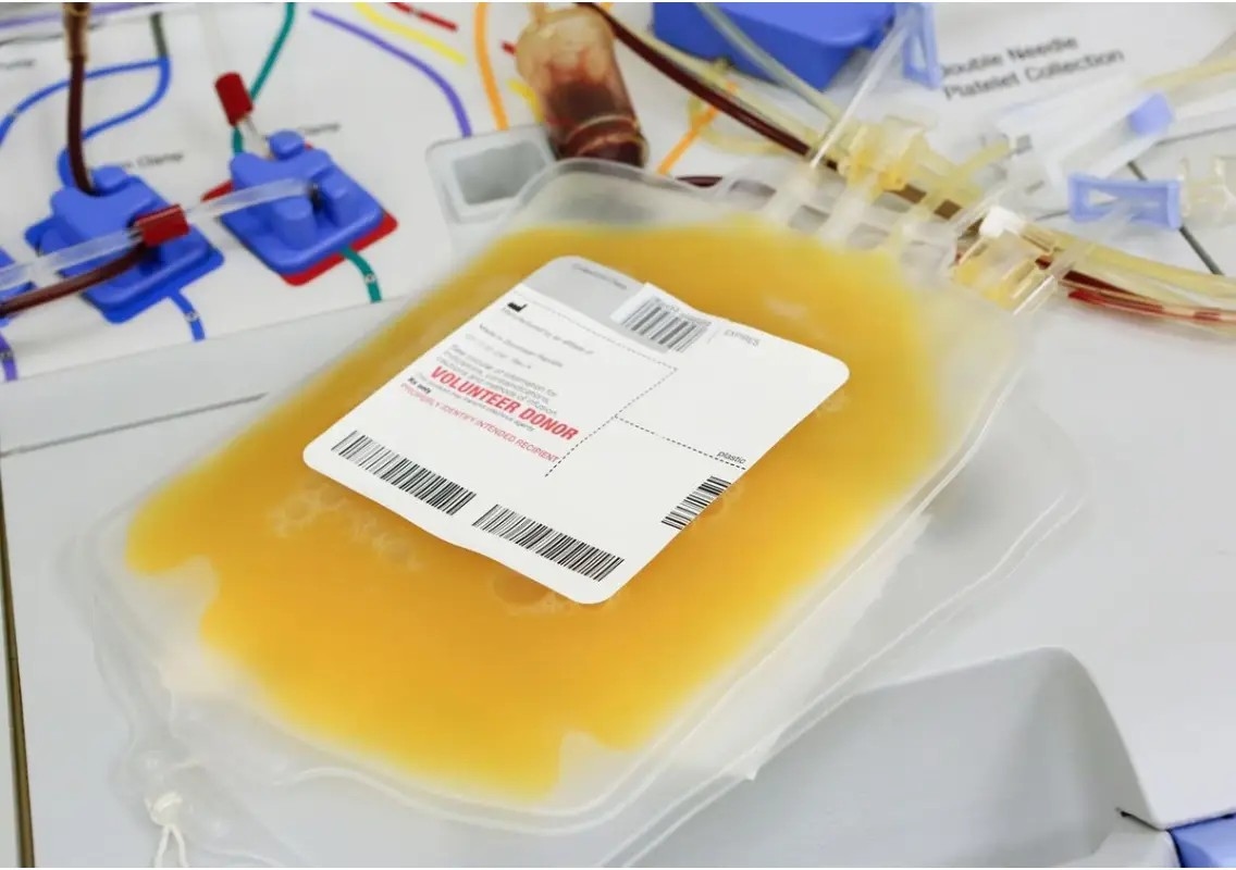 Fake plasma racket linked to Bengaluru under Karnataka police scanner - News Karnataka