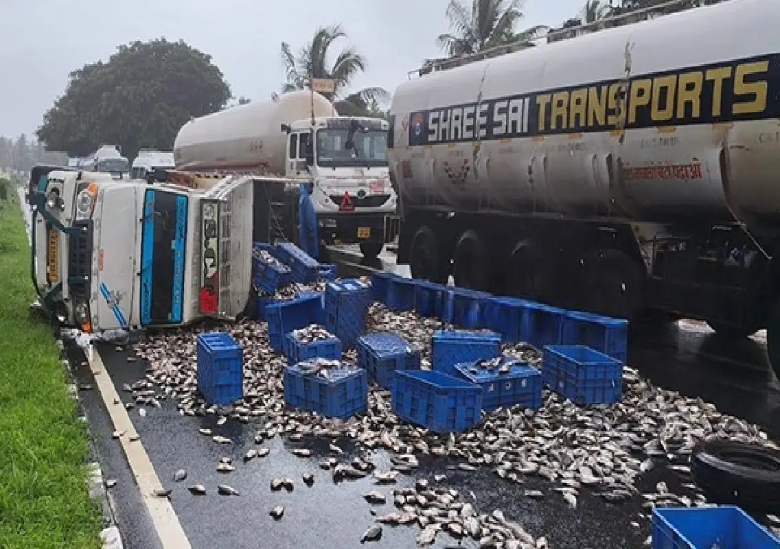 Fish-laden pick-up overturns near Uppoor, driver escapes with minor injuries - News Karnataka