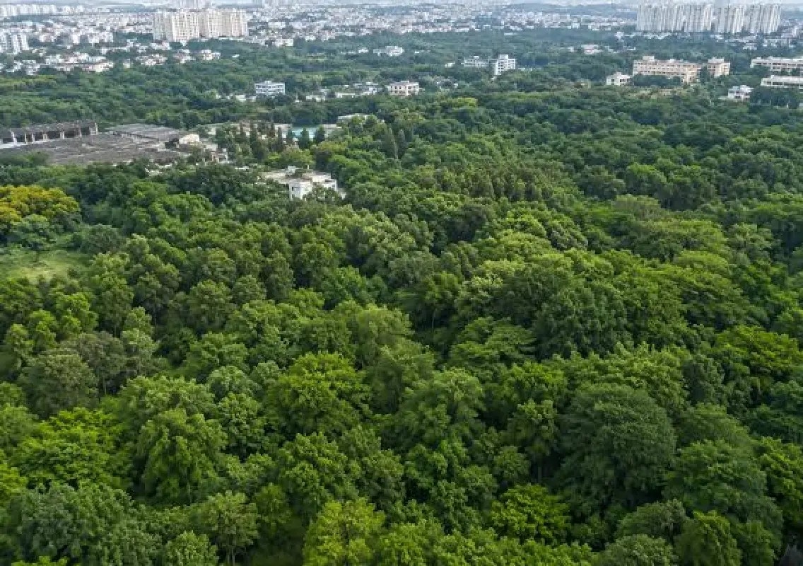 Forest department orders HMT to return ₹15,000 crore Bengaluru land - News Karnataka