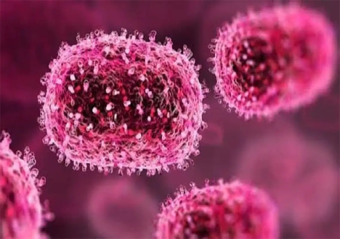 Gujarat reports three Chandipura virus deaths in 10 days - News Karnataka