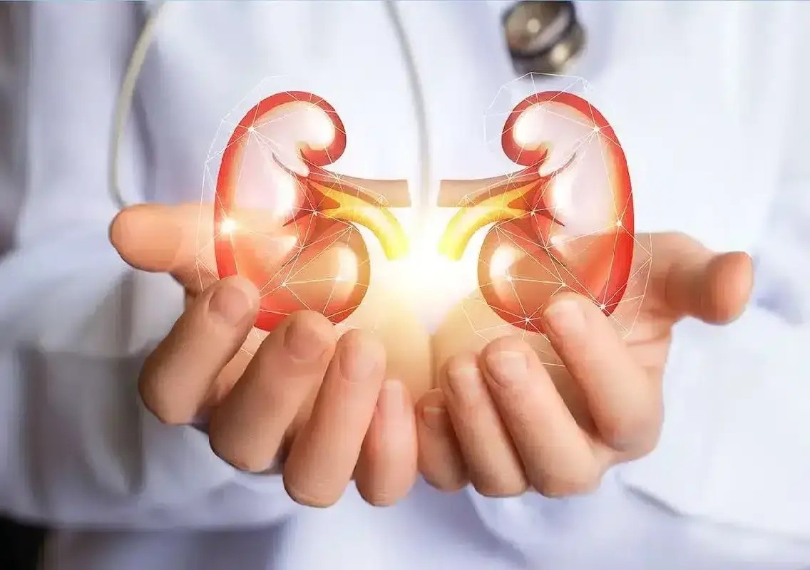 Heatwaves may increase chronic kidney disease risk, studies warn - News Karnataka