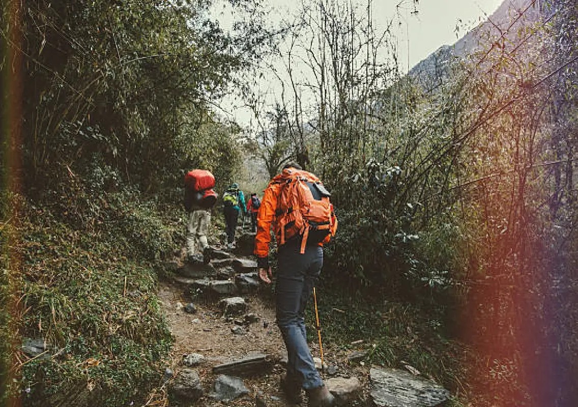 Karnataka Forest Department revises trekking booking rules - News Karnataka