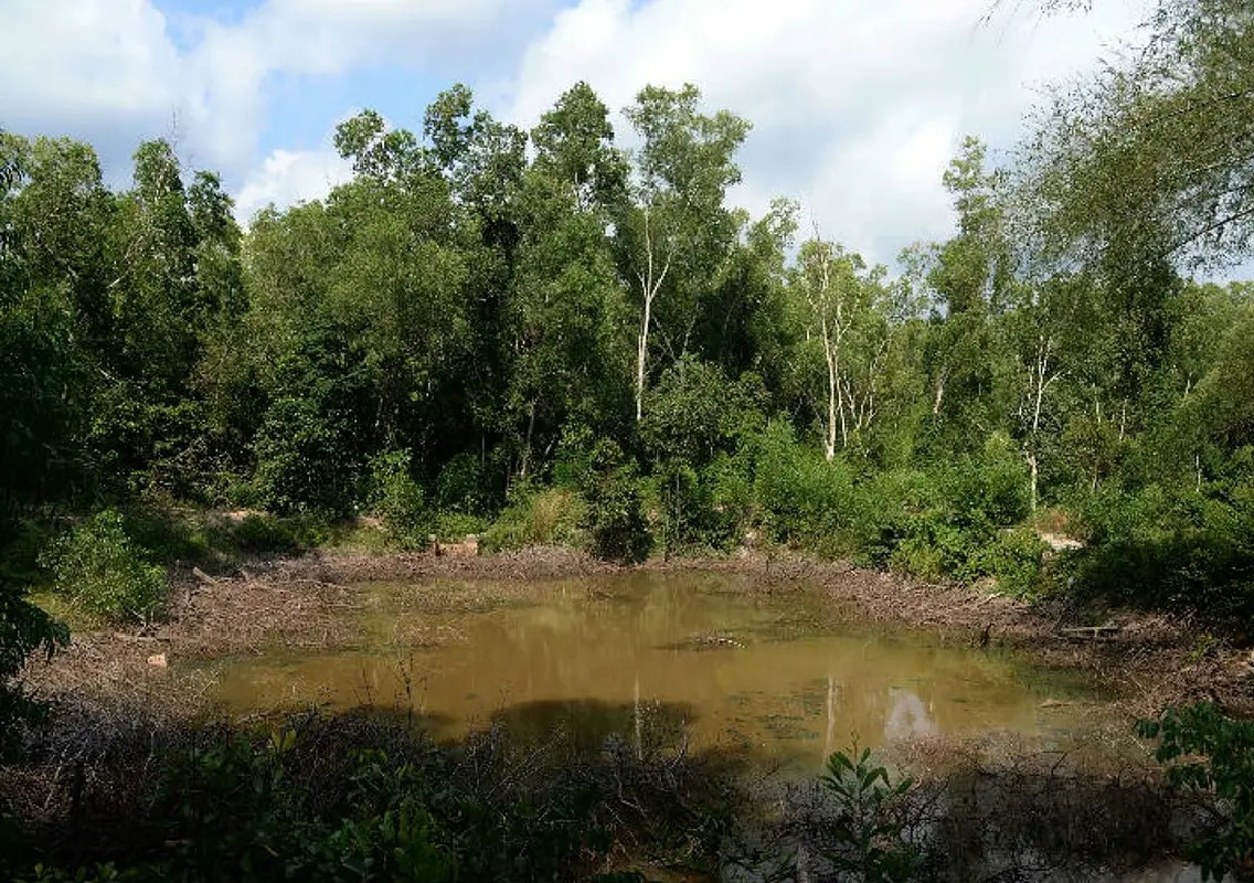 Karnataka PhD student found dead in Kerala university pond - News Karnataka