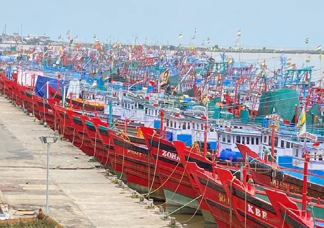 Karnataka records 44% rise in marine fish landings in 2025 - News Karnataka