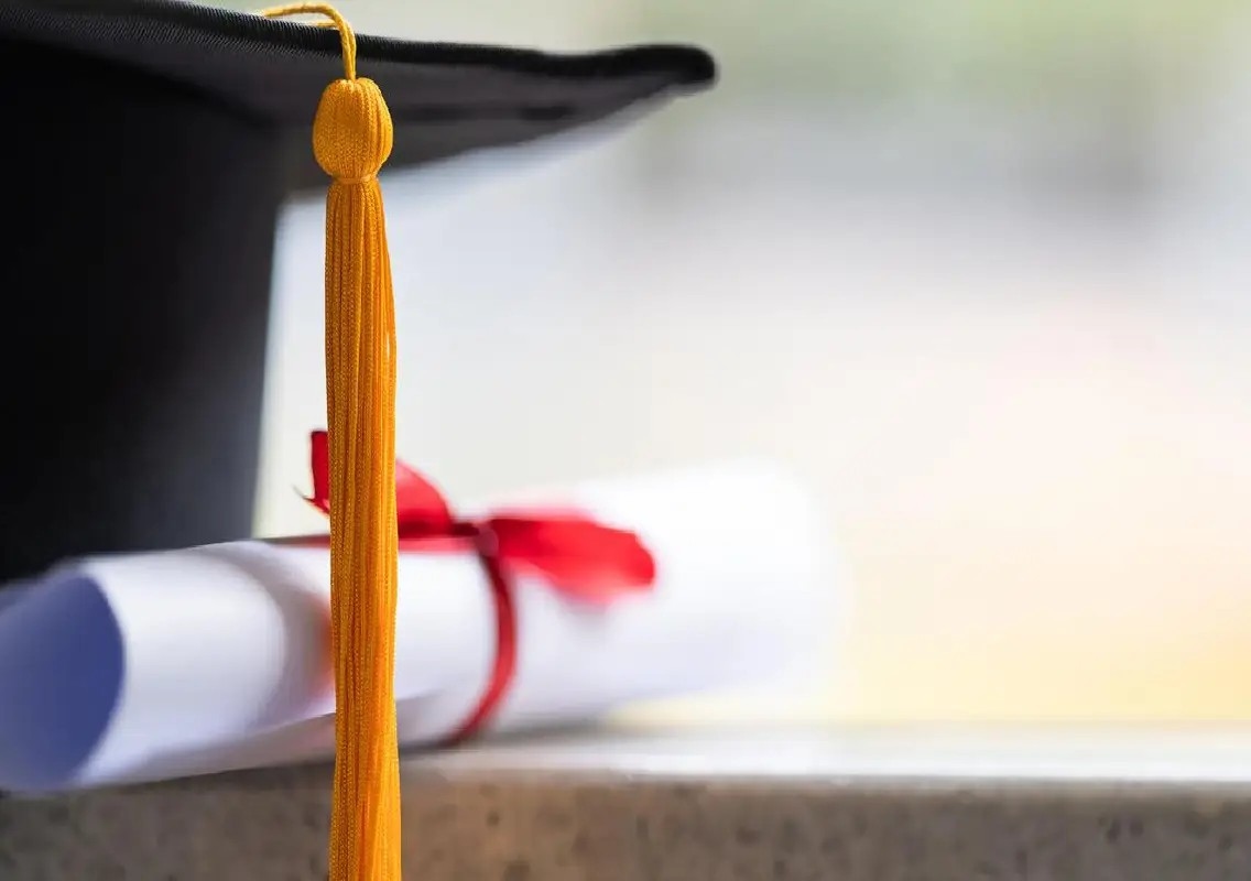 Karnataka to file criminal cases against 249 guest lecturers over fake PhD certificates - News Karnataka