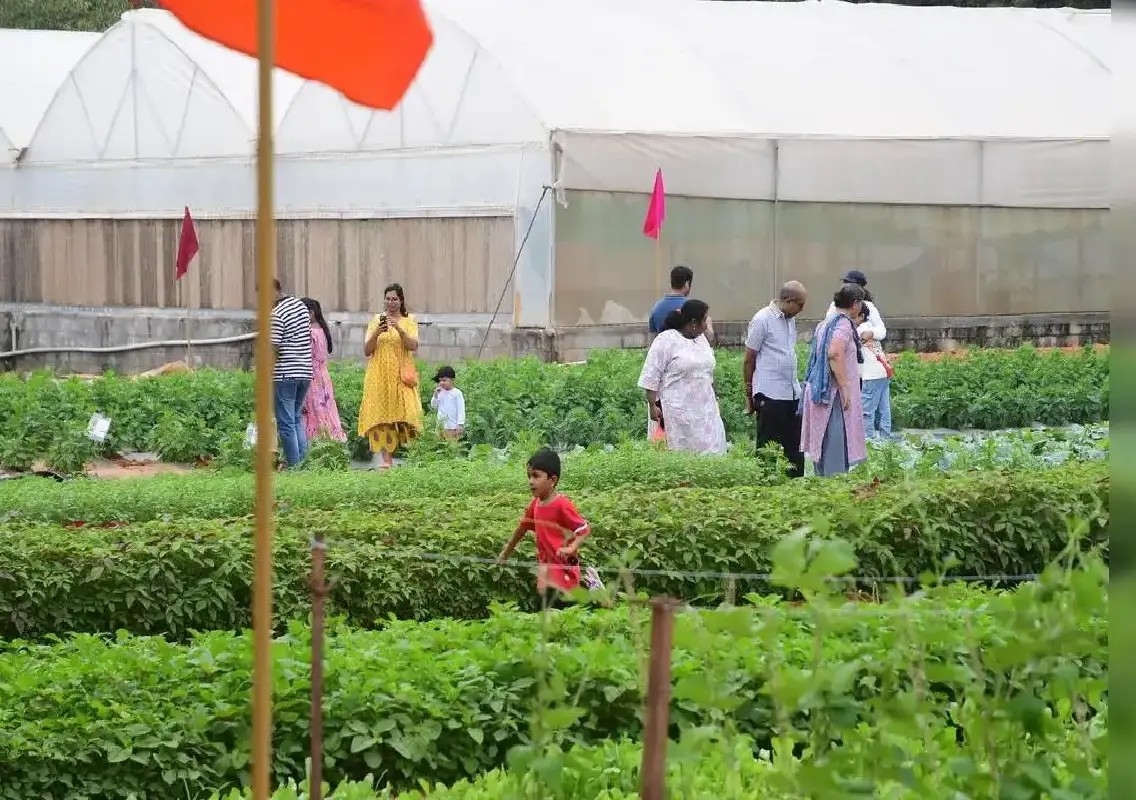 Living crop museum helps Bengaluru children discover where food comes from - News Karnataka