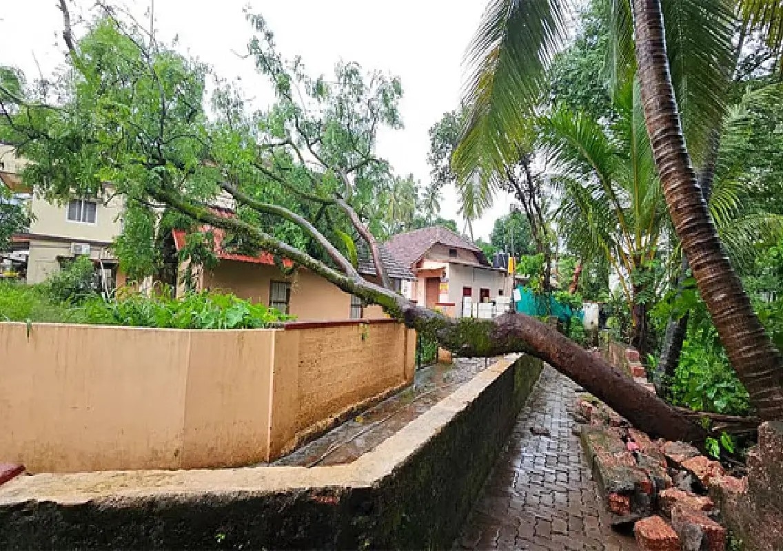 Mangaluru receives heavy overnight rain after prolonged dry spell - News Karnataka