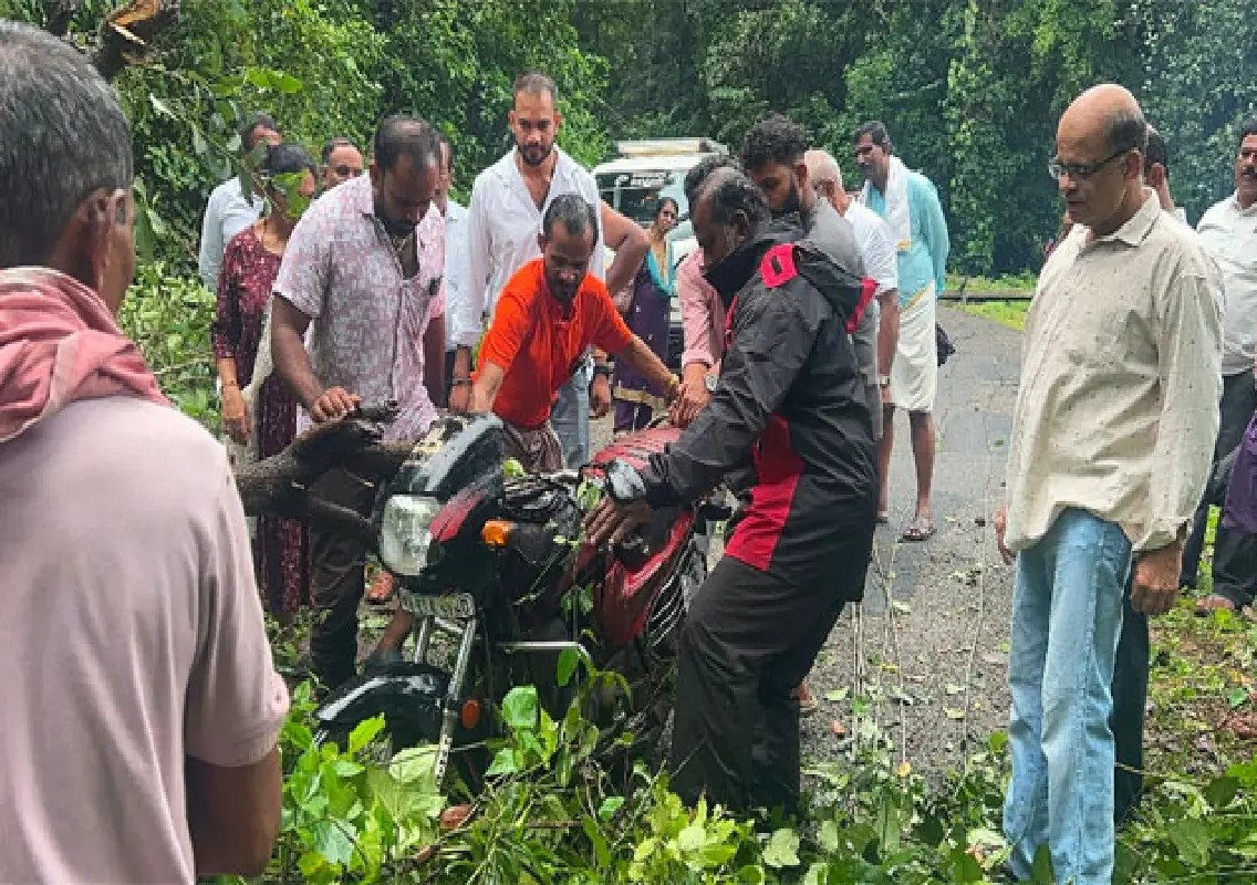 Motorcyclist escapes unhurt after tree falls on bike near Beltangady - News Karnataka