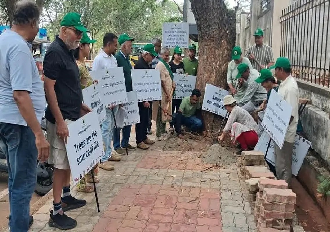 Mysuru sees rising demand for tree felling amid conservation concerns - News Karnataka