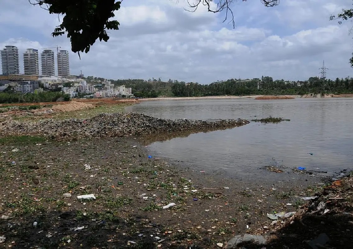 Neglected Hosakerehalli Lake cries out for urgent revival - News Karnataka