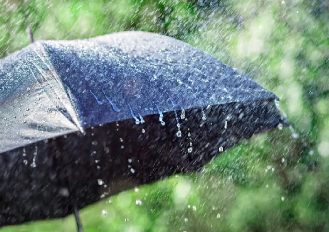 Orange alert issued for coastal Karnataka as Pushya rains intensify - News Karnataka