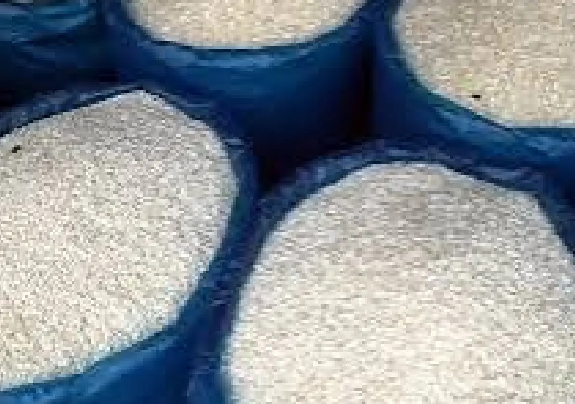 Over 15 quintals of PDS rice seized from Udupi general store - News Karnataka