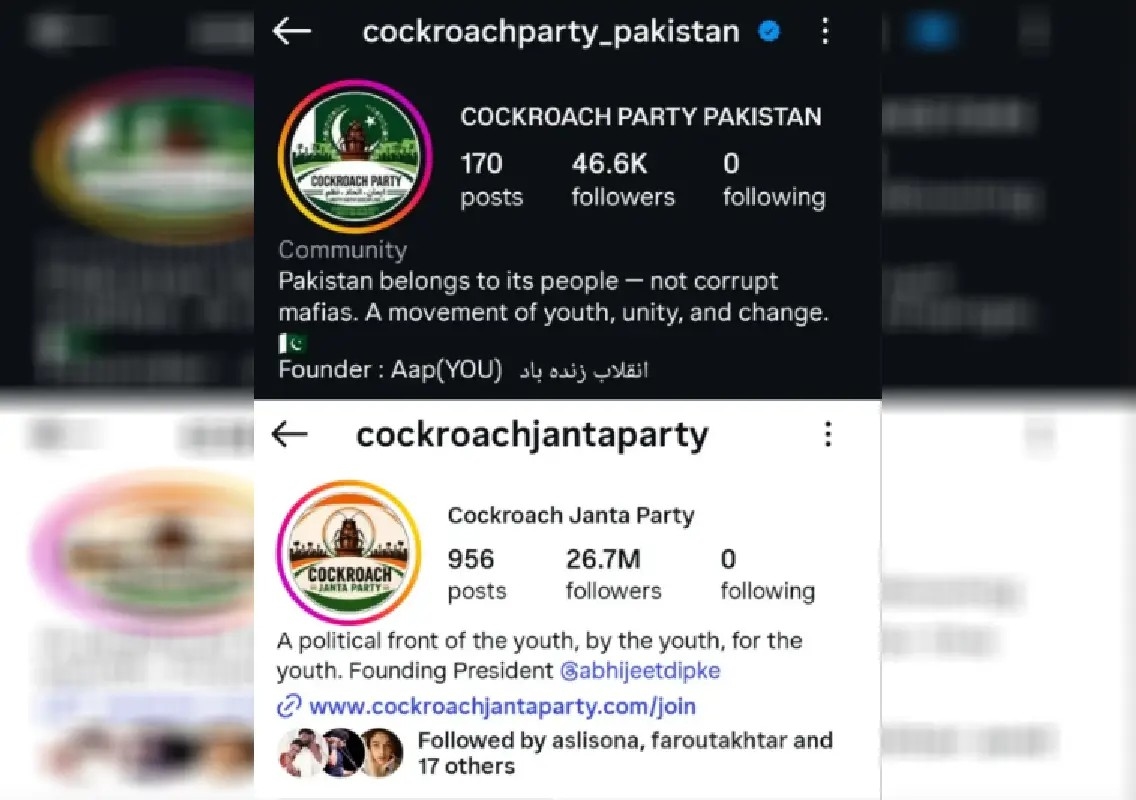 Pakistan activists launch ‘Cockroach Party' inspired by Indian movement - News Karnataka