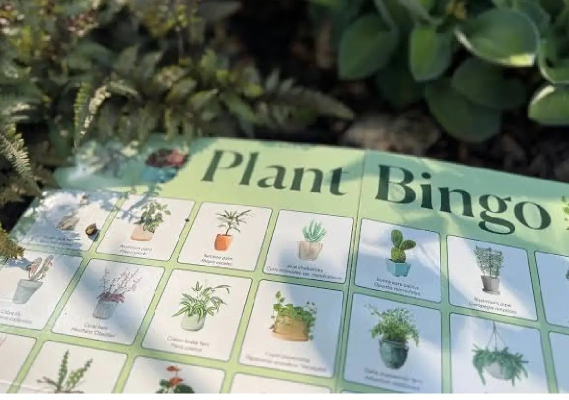 Plant Bingo debuts in Mangaluru with fun-filled green initiative - News Karnataka