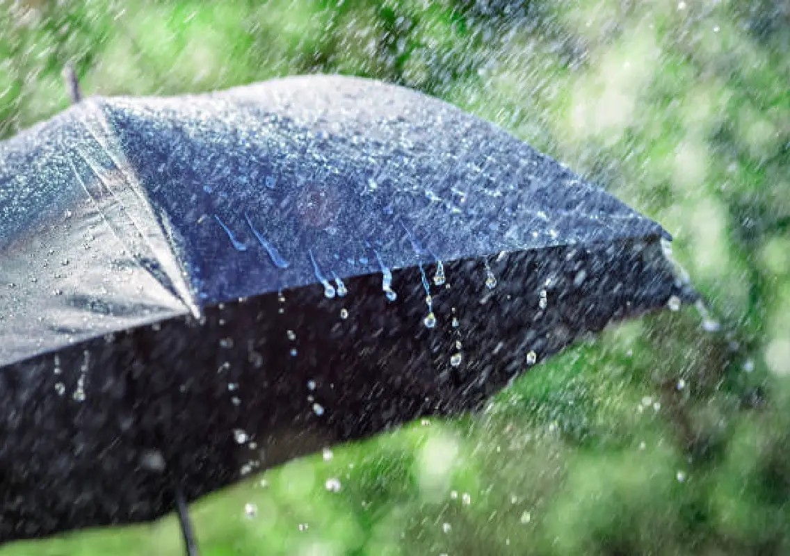 Rainfall deficit deepens concern for farmers in coastal Karnataka - News Karnataka